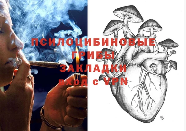 прущая мука Верея
