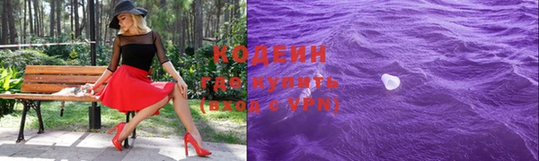 твердый Бородино