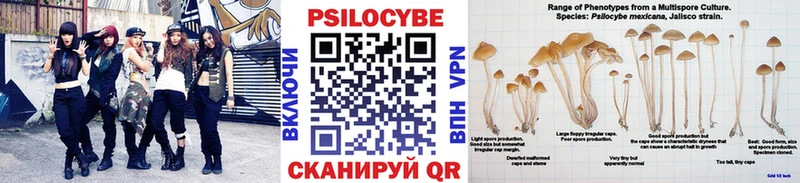 mega зеркало  цены   Салават  Псилоцибиновые грибы мицелий 